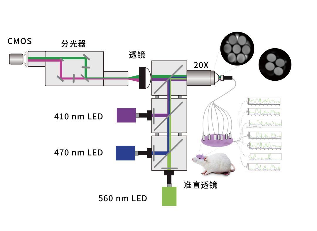 5-双色记录.jpg