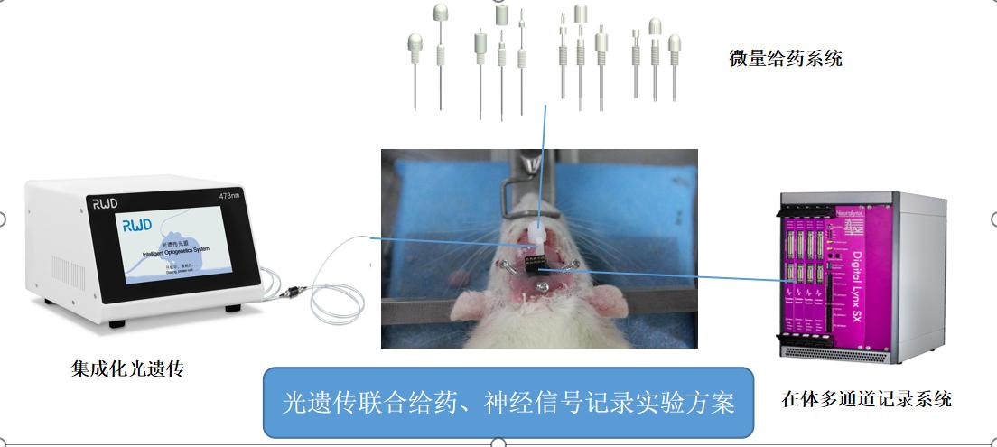 10-DIY专属定制.jpg