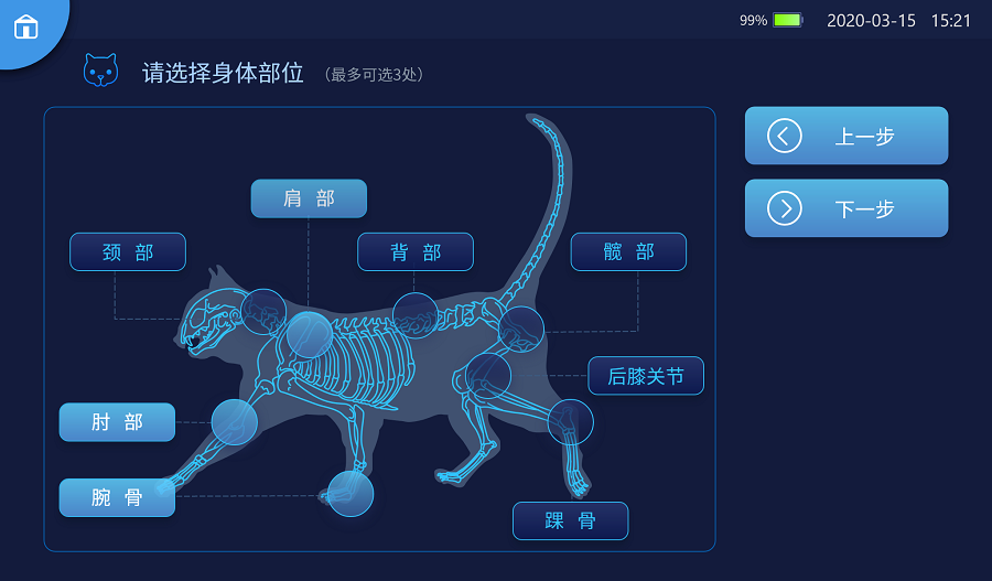 1-激光理疗-猫咪.png