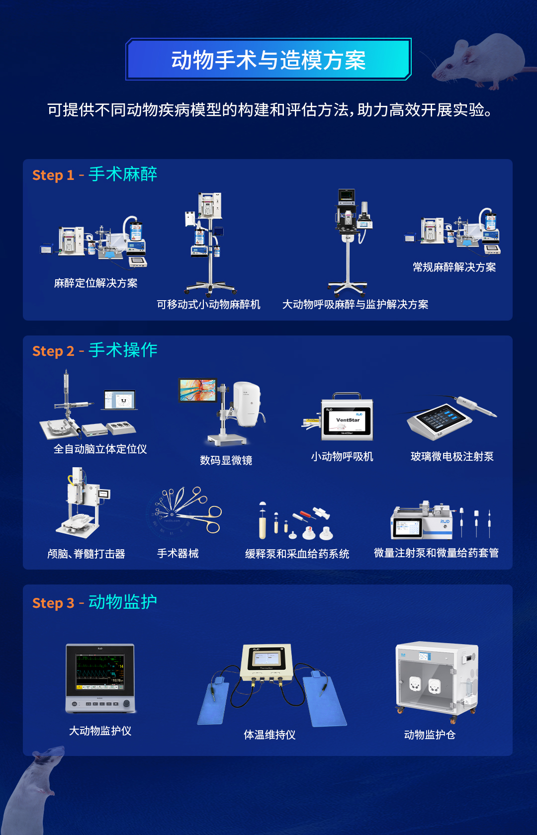 动物手术造模.jpg