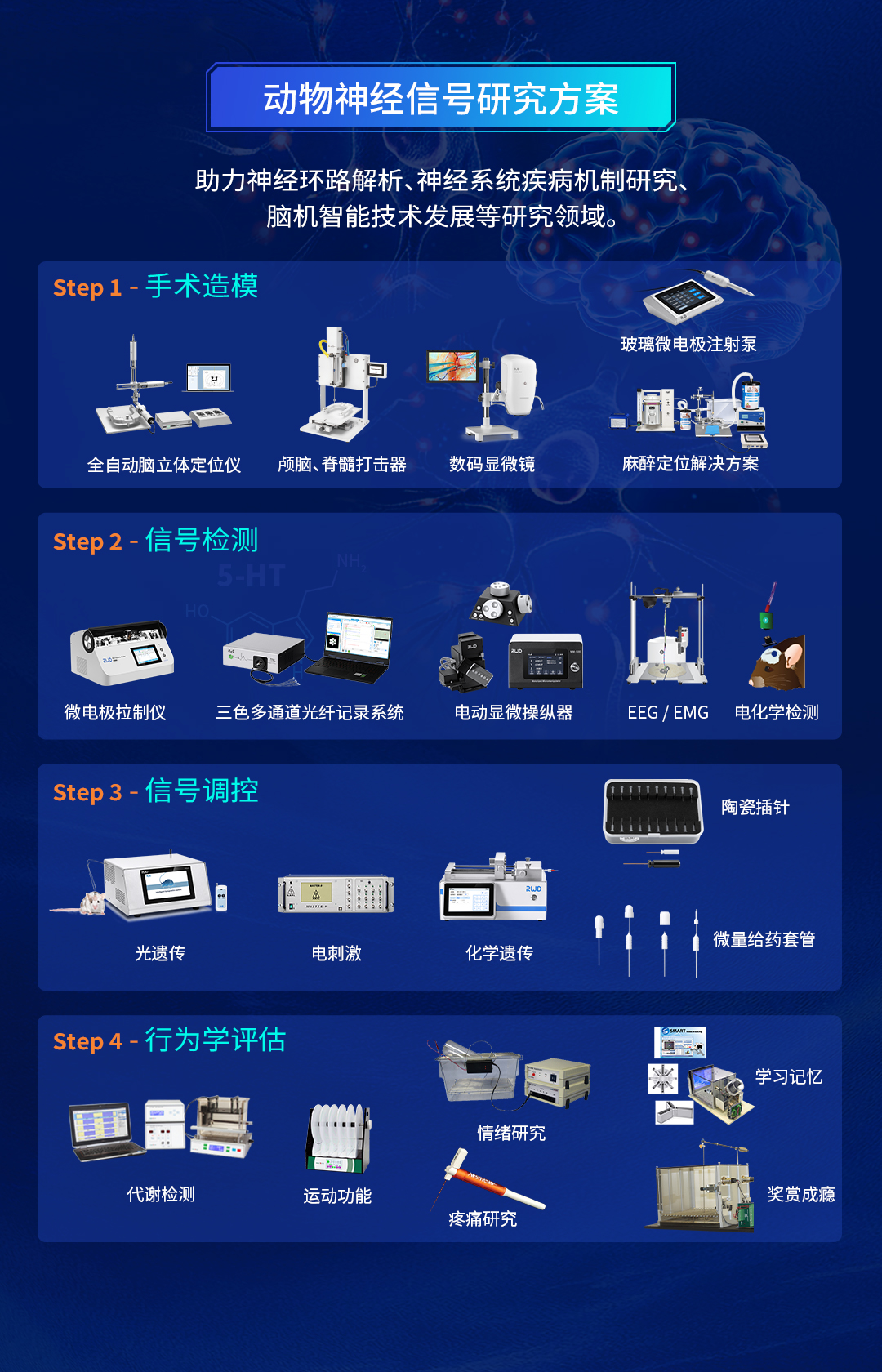 动物神经信号.jpg