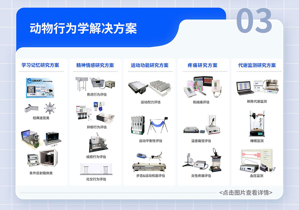 政府-贴息贷款-项目落地-A-官网_05.jpg