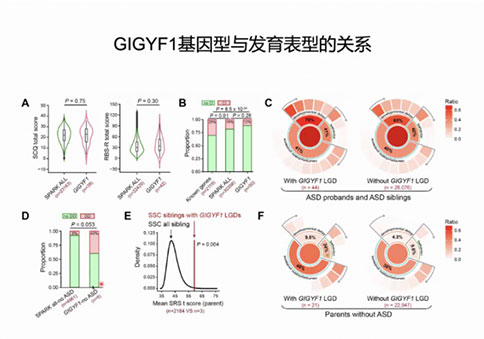 聚焦孤独症的遗传基础与神经环路研究 