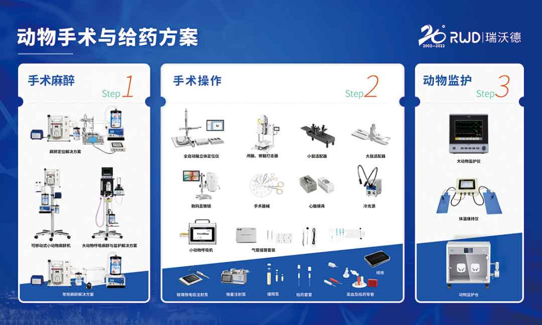 6-动物手术与给药方案.jpg