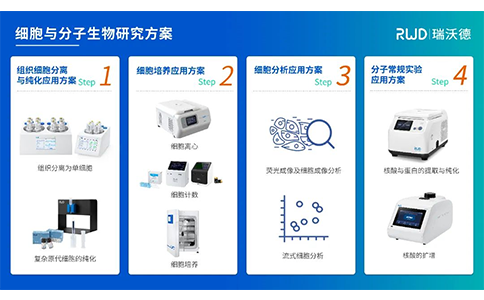 九游老哥俱乐部登录细胞与分子生物研究方案