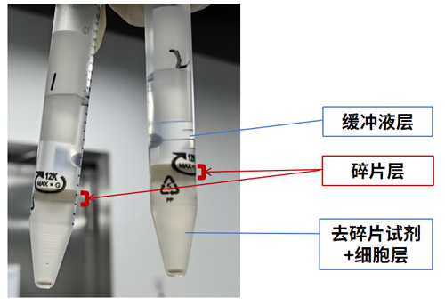 组织温和酶解试剂盒的得力助手——碎片高效去除试剂盒