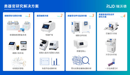 九游老哥俱乐部登录邀您共赴2024第四届类器官大会—类器官与新药研发会议暨 ISoOR 2024 国际类器官高峰论坛