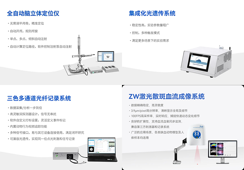 九游老哥俱乐部登录邀您共赴2024长三角神经科学论坛