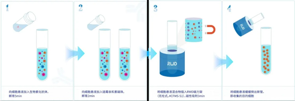 九游老哥俱乐部登录推出无柱式磁性细胞分选平台，纯度&效率双优选！仅需10min！