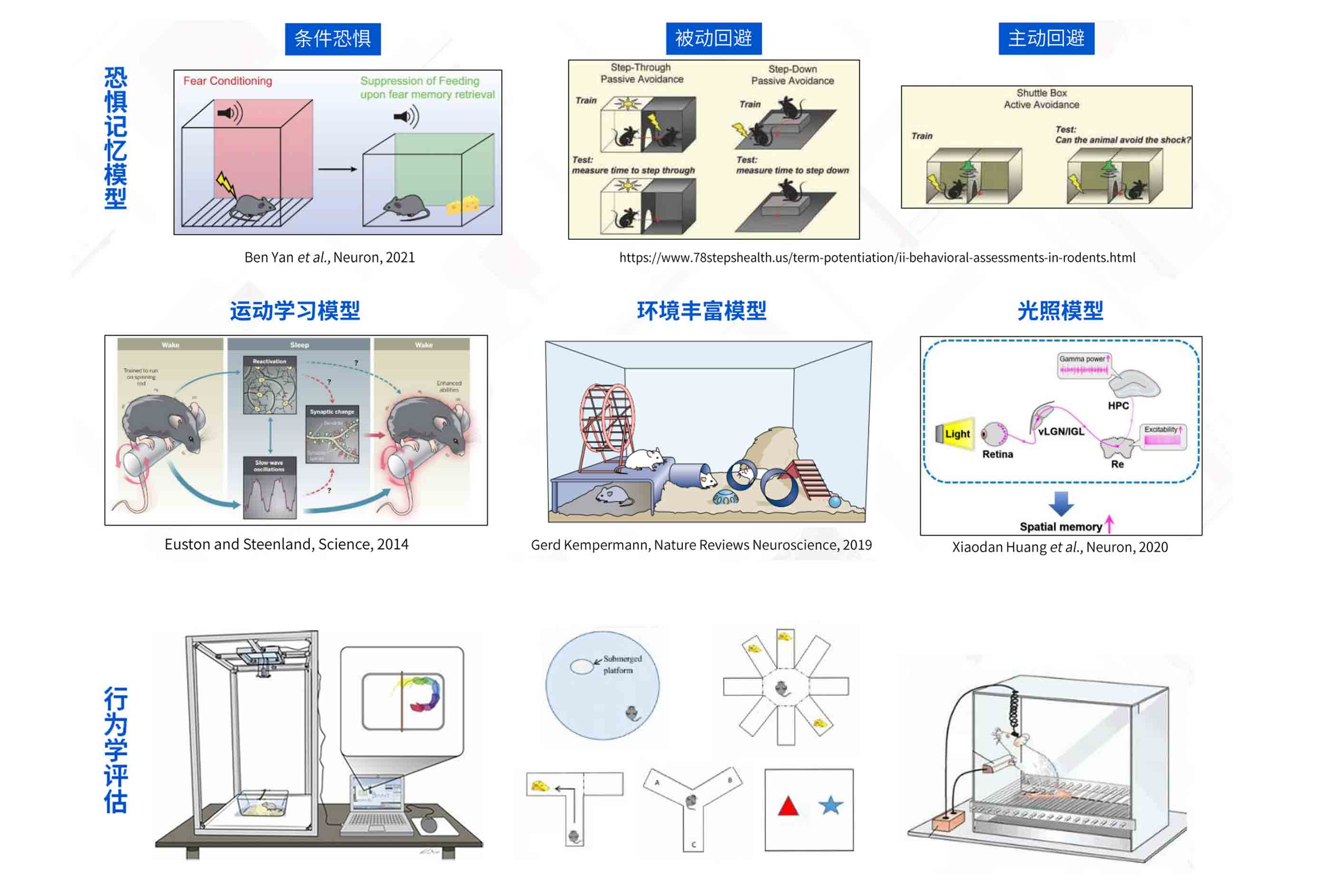 环境造模与行为评估