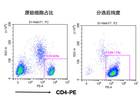 人CD4+细胞分选试剂盒（科研级）