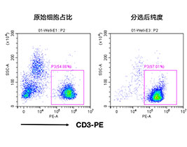 人CD3+细胞分选试剂盒（科研级）