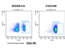 小鼠CD3+细胞分选试剂盒