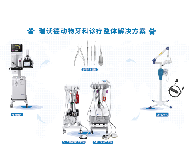 动物牙科诊疗整体解决方案